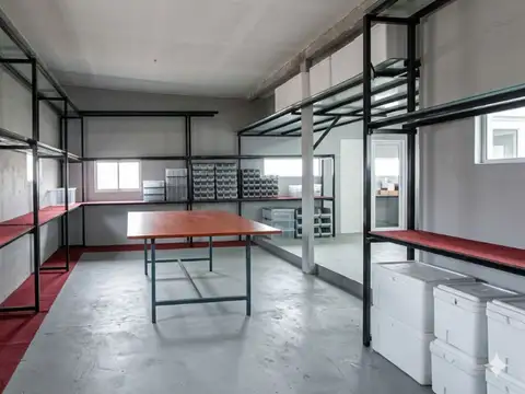 Oyuela 2800