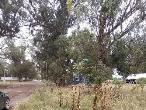 Bolivar Parque Bristol 1200