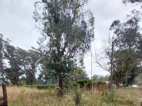 Terreno en Venta de 300,0 m2