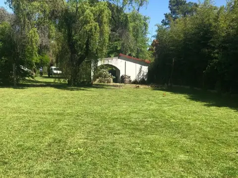 Ayolas 1100