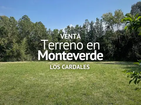 TERRENO EN VENTA, BARRIO MONTEVERDE, LOS CARDALES