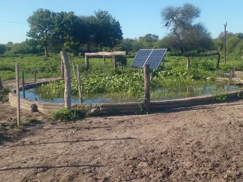 CAMPO DE 980  HECTAREAS EN LA GALLARETA! Ganadero