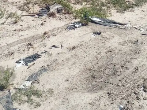 CAMPO DE 980  HECTAREAS EN LA GALLARETA! Ganadero