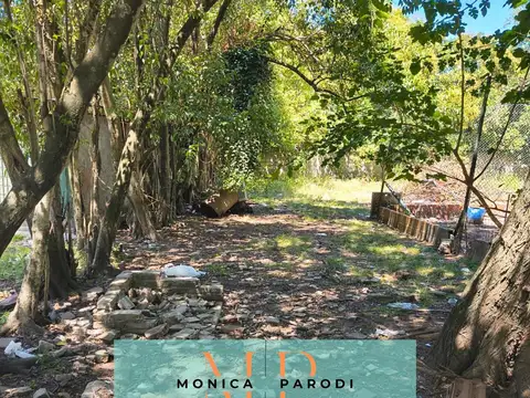 Terreno en Venta 10  mts Frente