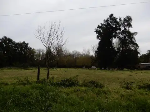 Terreno en Venta de 4200,0 m2