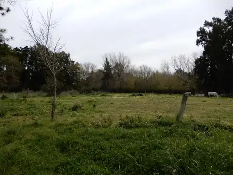 Terreno en Venta de 4200,0 m2