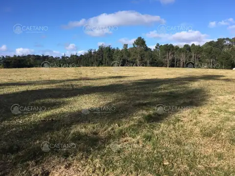 Terreno en Venta 107  mts Fondo