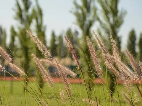 Terreno en Venta de 619,0 m2