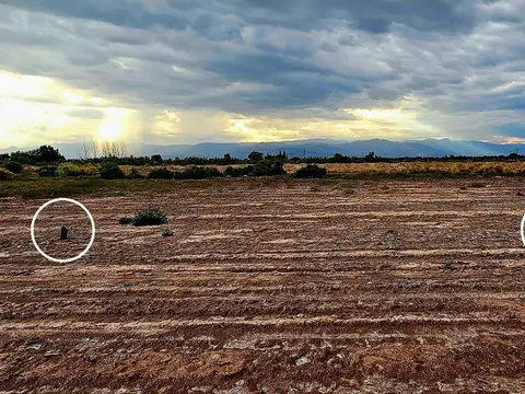 Terreno en Venta de 402,0 m2