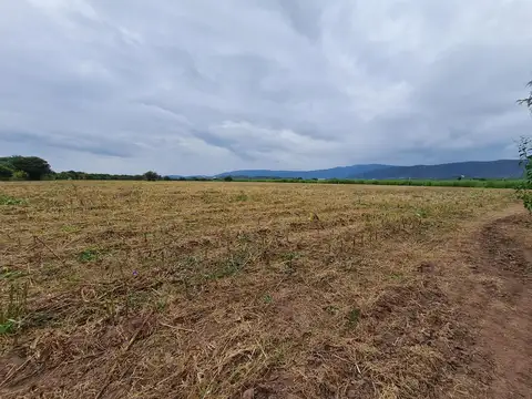 Hermosa Finca Agrícola en Venta