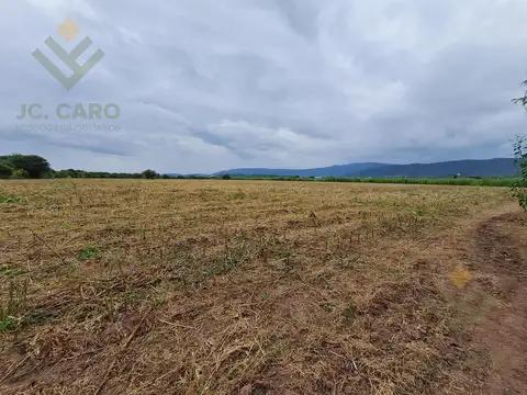 Hermosa Finca Agrícola en Venta