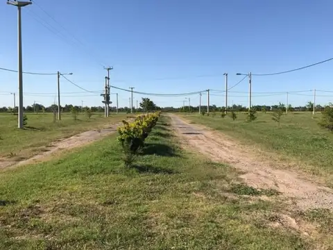 Terreno en Venta de 498,0 m2