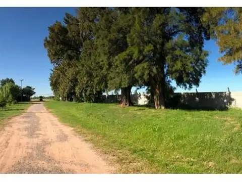 LOTEOS LAS CASUARINAS