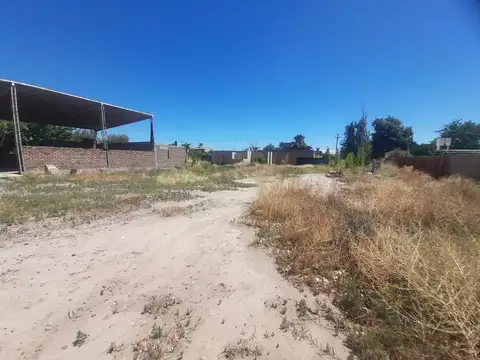 Elpidio Gonzalez 7300