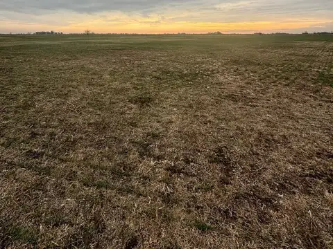 CAMPO EN VENTA 