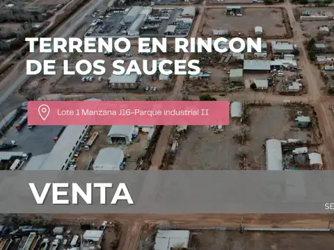 Terreno en Venta en Rincon de los Sauces, Pehuenches