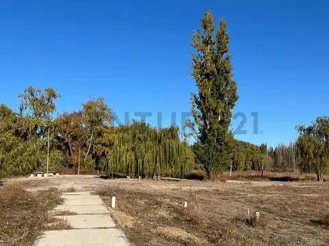 Venta terreno Cervantes-Barrio La rufina 1