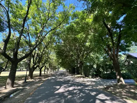 Terreno - Santa Elisa