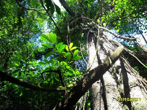 Terreno en Venta de 20000,0 m2