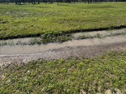 Terreno en Venta de 581,0 m2