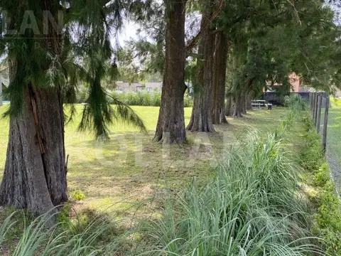 la pista  al 1200