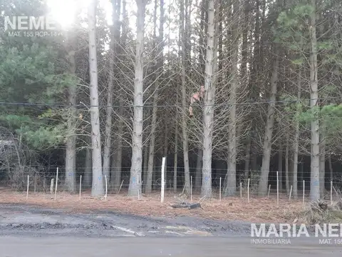 Campo en  venta - Colonia Suiza