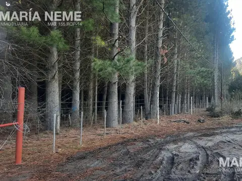 Campo en  venta - Colonia Suiza