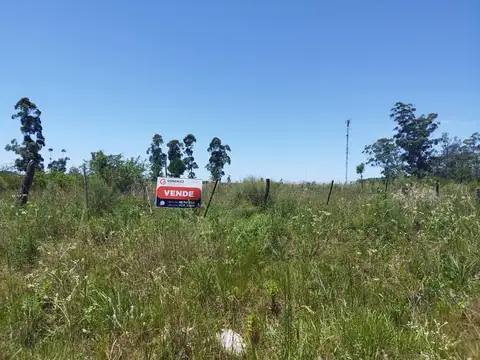 Ruta 22