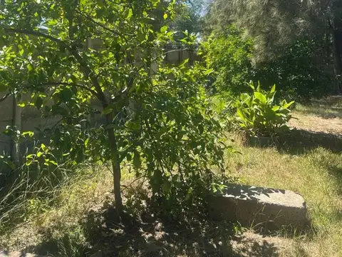 Terreno en Venta en Villa Gobernador Udaondo, USD 110.000