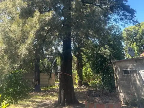 Del Chiripa 1400, Piso 0