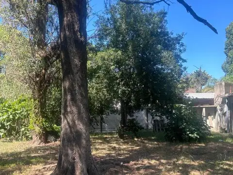 Terreno en Venta 20  mts Frente