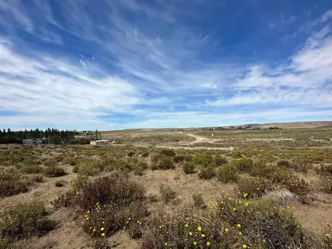 LOTE EN CORDON FORESTAL 