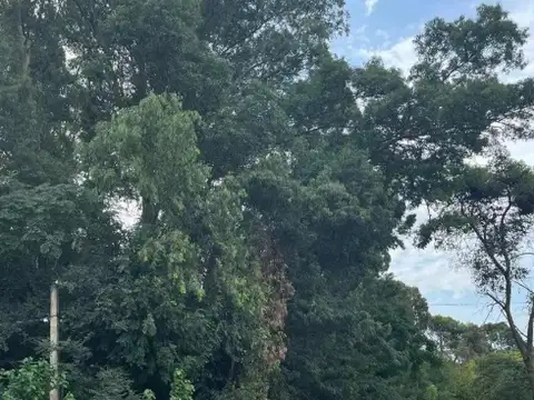 Terreno en Venta de 1200,0 m2