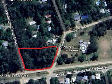 Avenida Los Cardenales y Los Colibríes