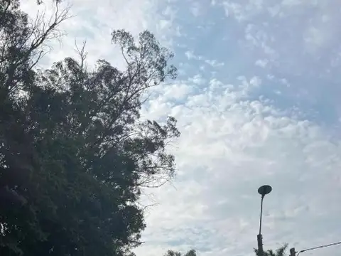 Avenida Los Cardenales y Los Colibríes