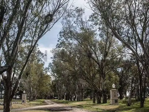 Terreno en Venta 15  mts Fondo