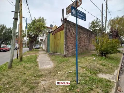 Primera Junta 9900