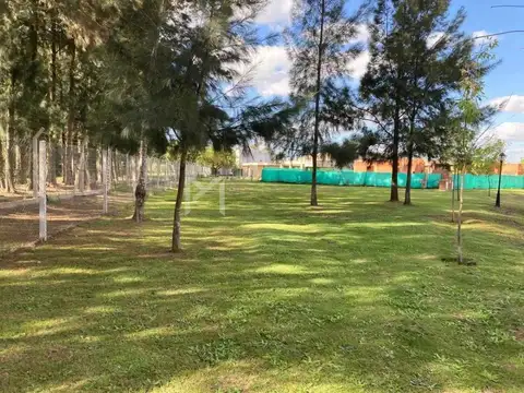 San Eduardo 200