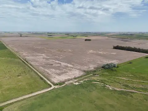 Campo agricola y ganadero