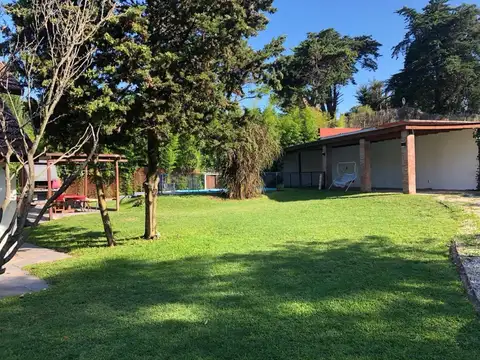 Paseo 131 800