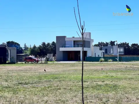 Brisanova