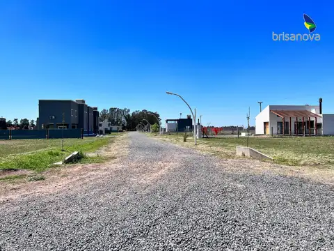 Brisanova