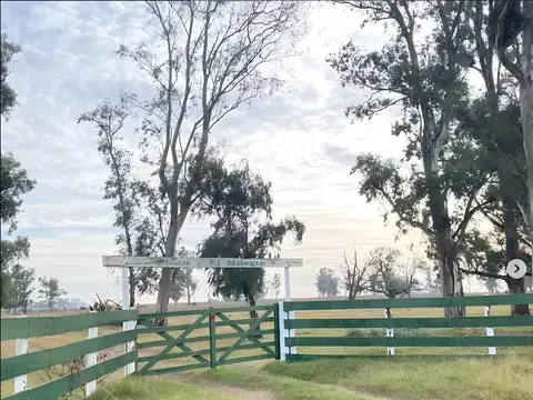 Campo en  venta Carlos Tejedor