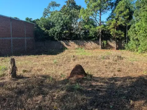 (V48) Lote de importantes medidas en zona urbanizada (GARUPA