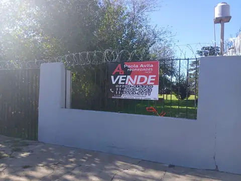 ALBATEIRO 4200