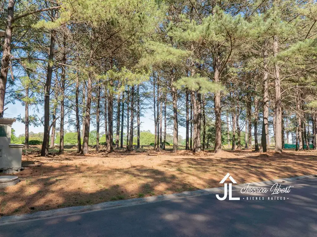 pinares golf country club