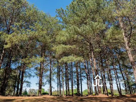 Oportunidad Terreno E1 en zona de Pinos en el barrio Pinares Country Club