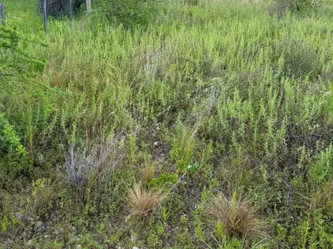 Terreno en Venta en Residencias 4, USD 17.500