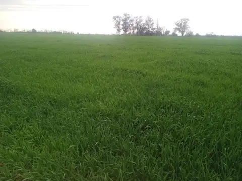 Campo en Venta de 59  ha
