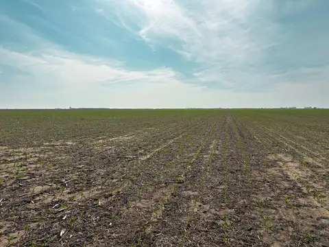Campo de 35 has sobre ruta con gran potencial productivo